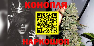 прущие грибы Балаково